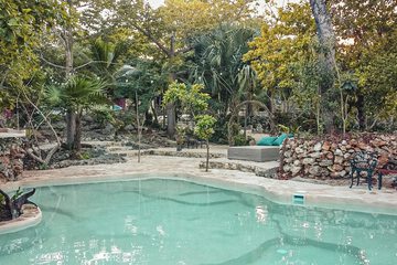 Natural pool