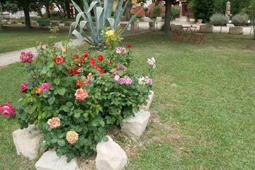 Photo 59