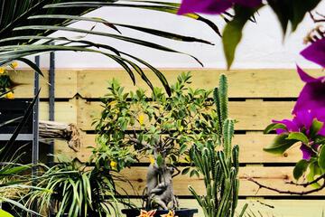 Hotel Interior 36 of 115