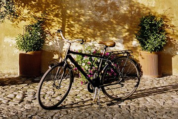 Bicycling