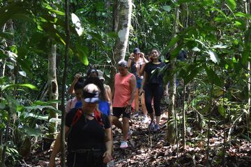 Hiking