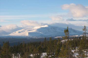 Photo 50