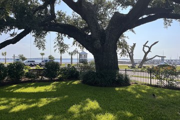 Land view from property