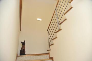 Photo 51