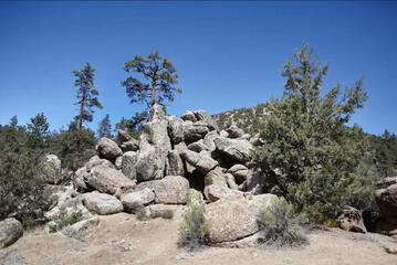 Photo 31