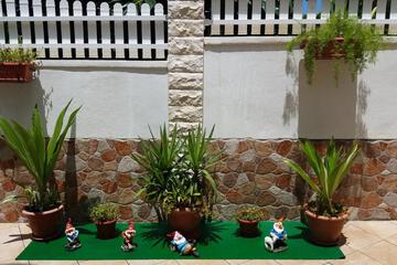 Photo 50