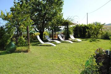 Photo 37
