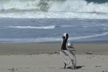 Photo 44