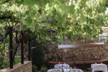 Outdoor wedding area