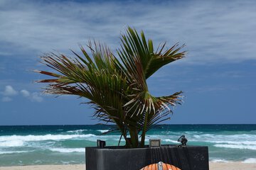 Beach/ocean view