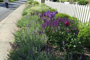 Photo 46