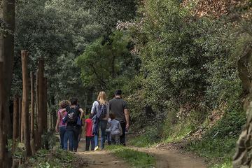 Hiking