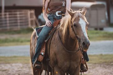 Horseback riding
