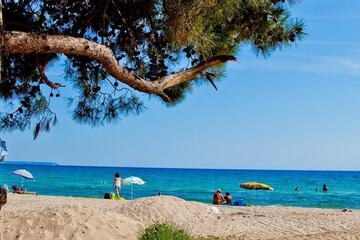 Beach
