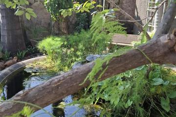 Photo 45