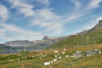 Mountain view