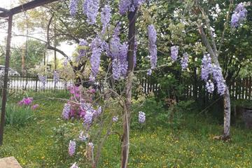 Photo 37