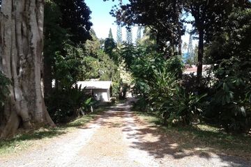 Land view from property