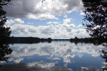 Photo 45