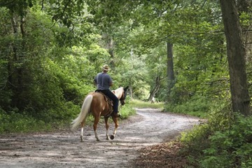 Horseback riding