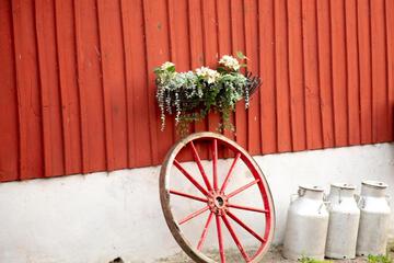 Photo 21