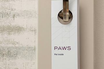 Pet-friendly amenities