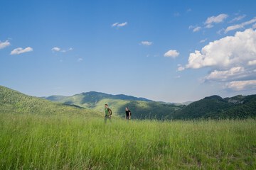 Hiking