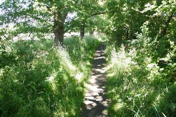 Photo 34