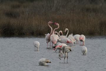 Ecotours