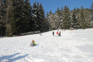 Sledding