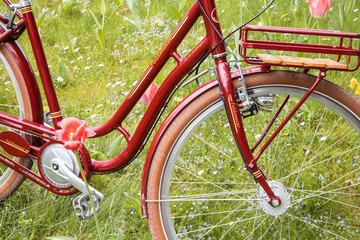 Bicycling
