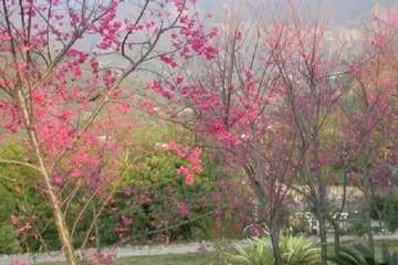 outside