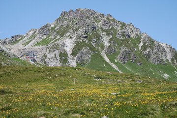 Hiking