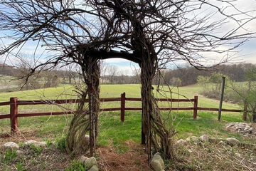 Land view from property