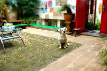Photo 38