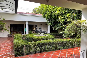 Garden view