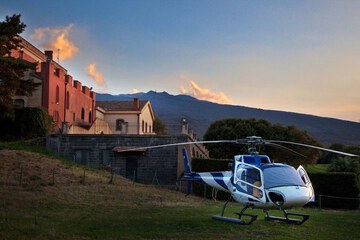 Helicopter/plane tours