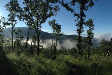 Hiking