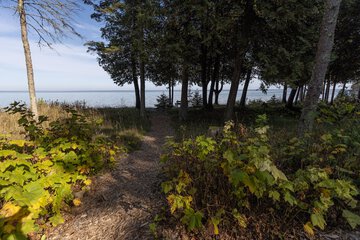 Lake view