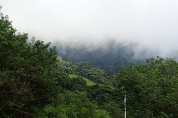 Hiking