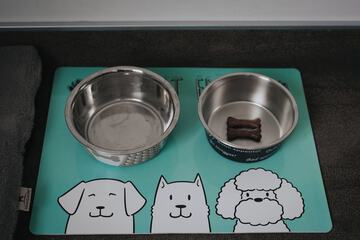 Pet-friendly amenities