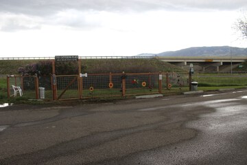 Pet-friendly amenities