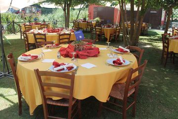 Outdoor wedding area