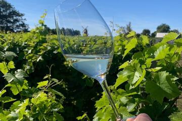 Winery