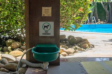 Pet-friendly amenities