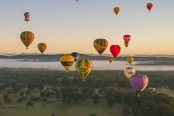 Helicopter/plane tours