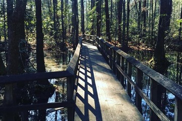 Hiking