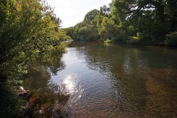 Photo 35