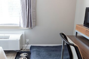 Pet-friendly amenities