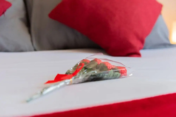 guest_rooms
